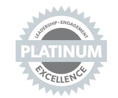 Platinum Chapter Standards Medal