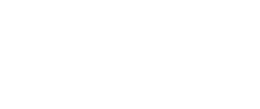 American Public University